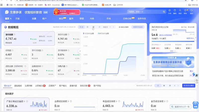 （19607期）淘宝VIP特训课-更新：蓝海选品+付费投放｜短视频AI运营｜大促起爆全流程，破解店铺无流量无利润难题