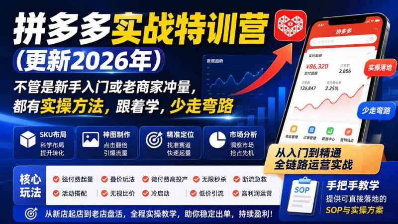 (19988期)拼多多实战特训营(更新26年0821):不管是新手入门或老商家冲量,都有实操方法,跟着学,少走弯路-百科网