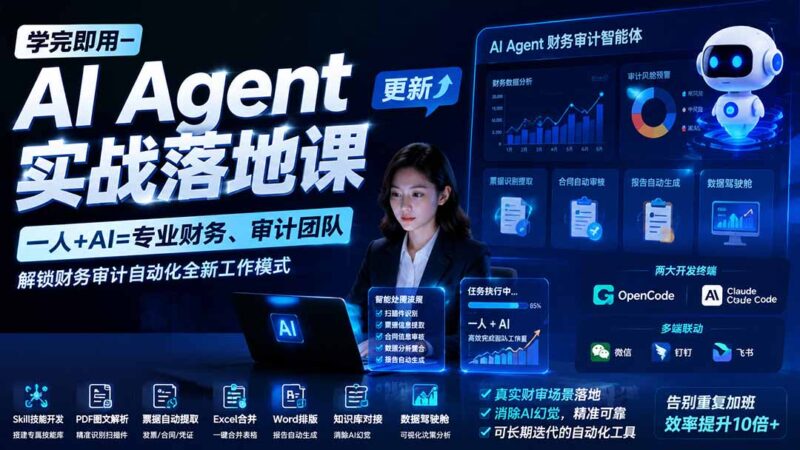 （20625期）【无水印】学完 即用-AI Agent实操落地课-更新0924：一人 + AI=专业财务、审计团队，解锁财务审计自动化全新工作模式-百科网