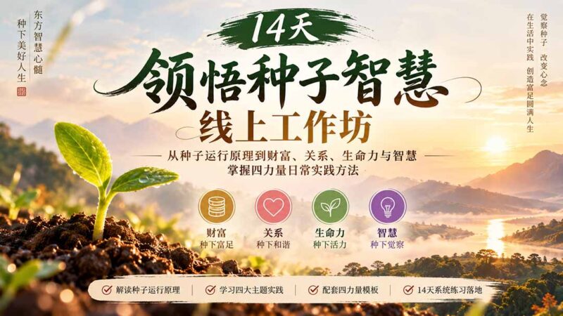 14天领悟种子智慧线上工作坊｜从种子运行原理到财富、关系、生命力与智慧，掌握四力量日常实践方法-百科网_分享创业项目_网上赚钱方法