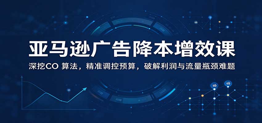 亚马逊广告降本增效课：深挖CO 算法，精准调控预算，破解利润与流量瓶颈难题-新发现资源网
