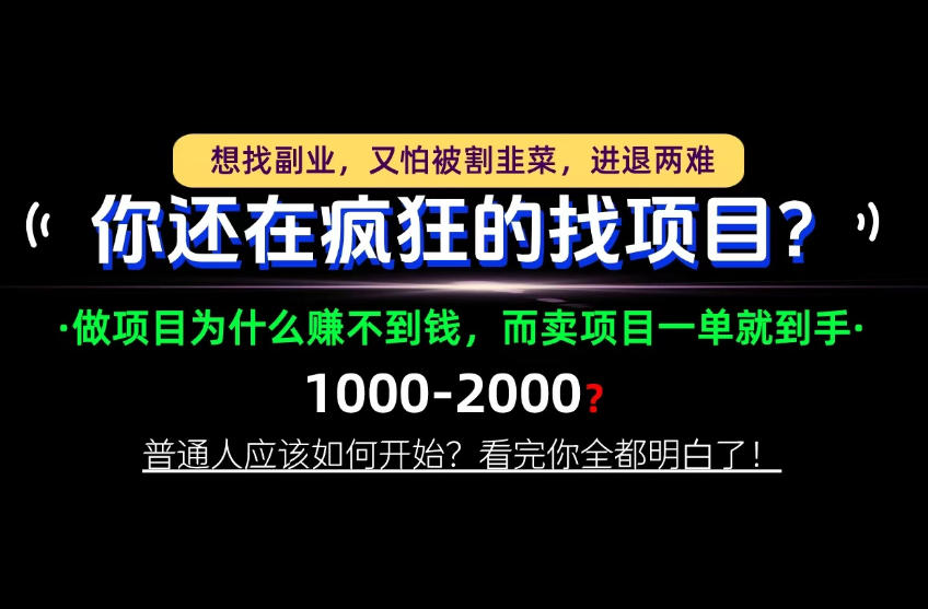 你还在疯狂的找项目？别傻了！卖项目才是真正的一本万利！怎么做，看完你全都明白！【揭秘】-新发现资源网